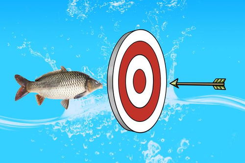 網(wǎng)購魚餌和釣具的4點(diǎn)心得 從漁具銷售角度挑選靠譜裝備